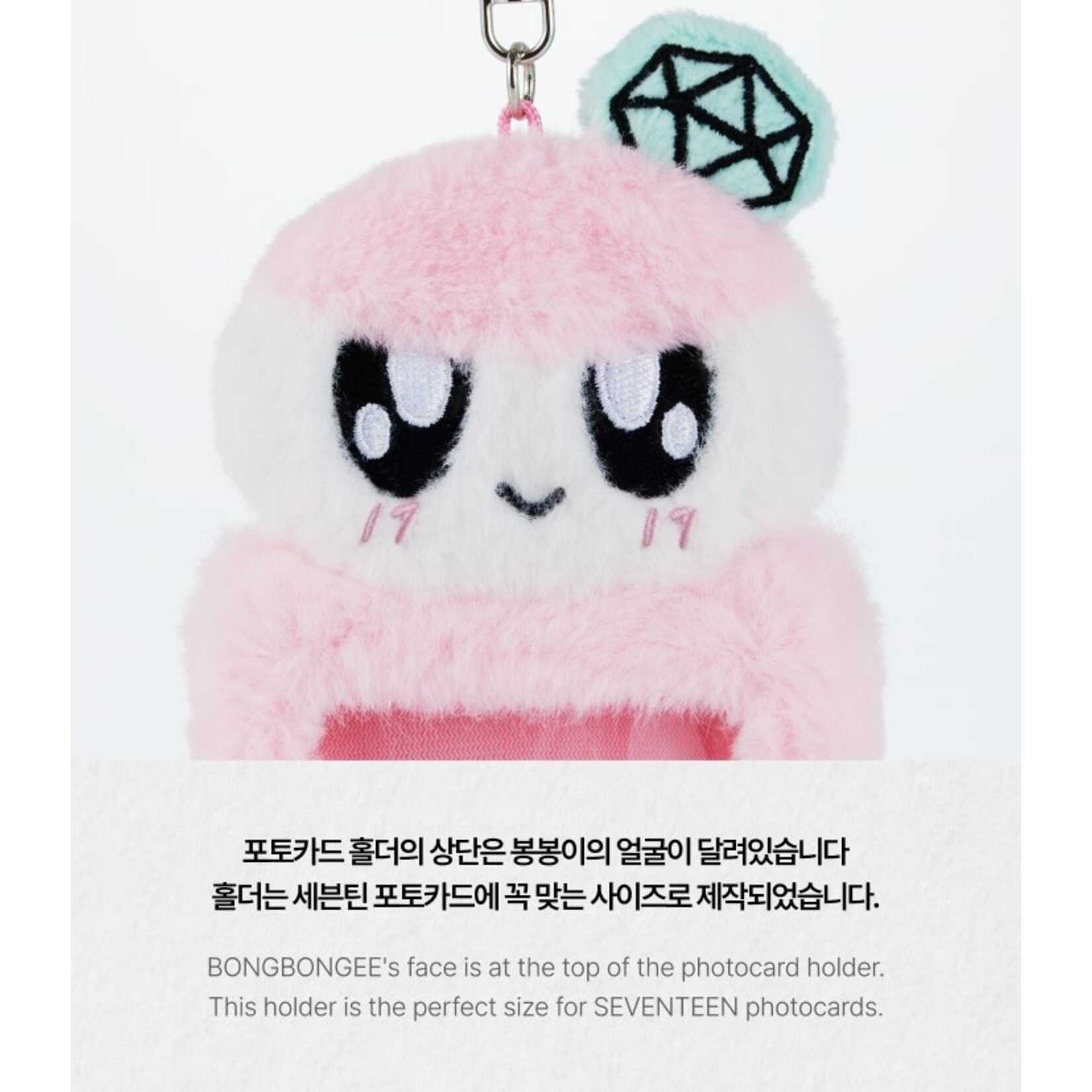 Seventeen SEVENTEEN - TOUR 'FOLLOW' AGAIN TO INCHEON BONGBONGEE Photo Card Holder