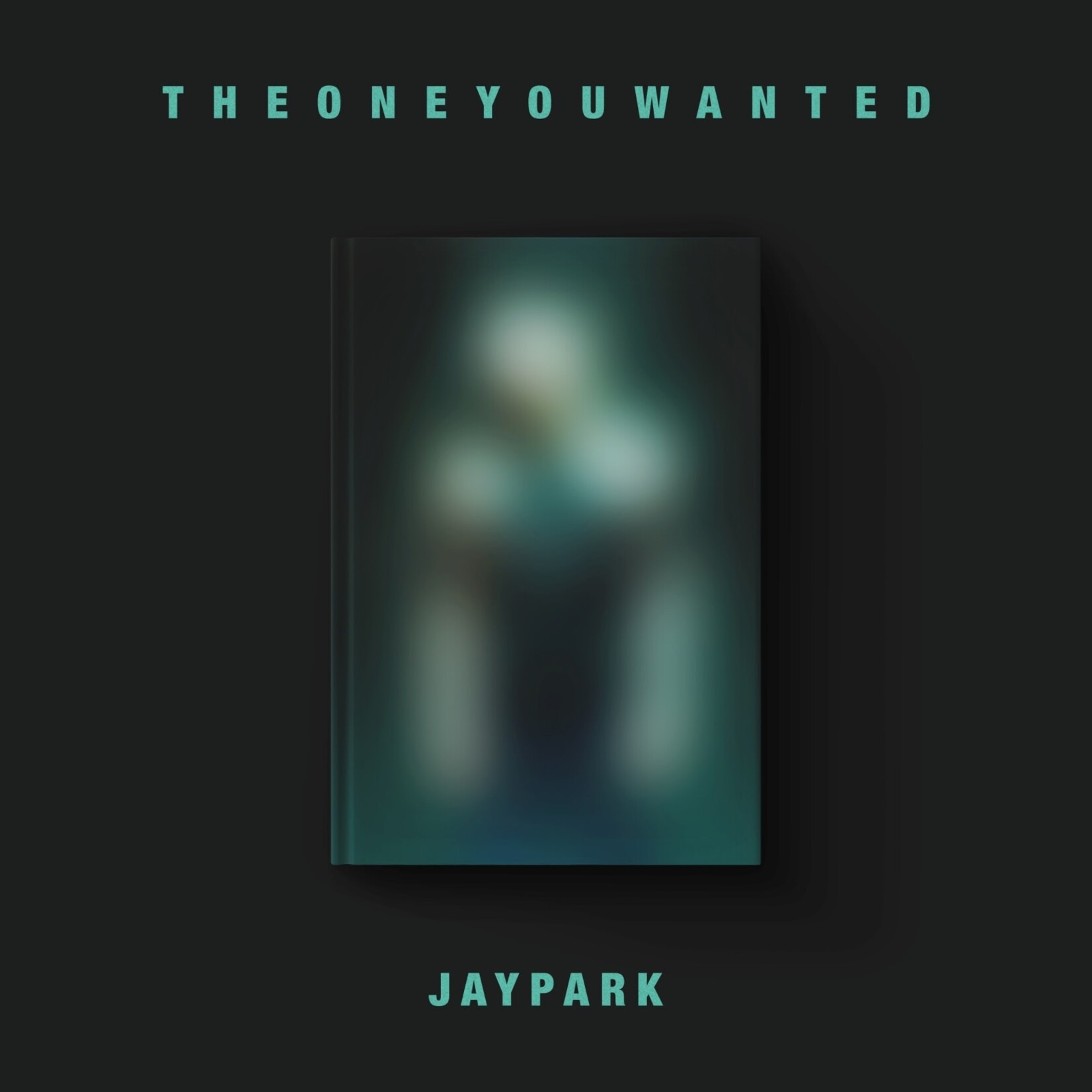 Jay Park Jay Park - THE ONE YOU WANTED Jay Park ver.