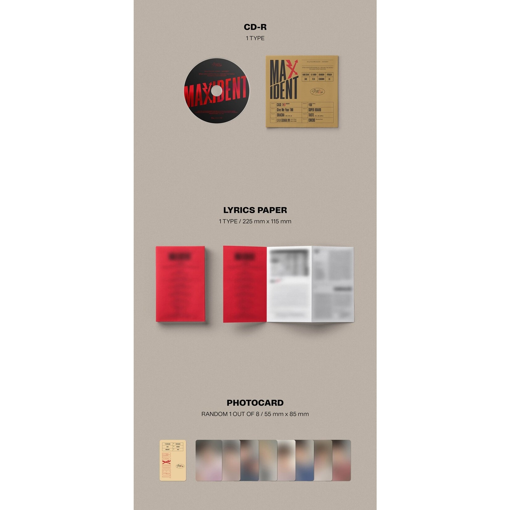 Stray Kids Stray Kids - [MAXIDENT] (CASE ver.)