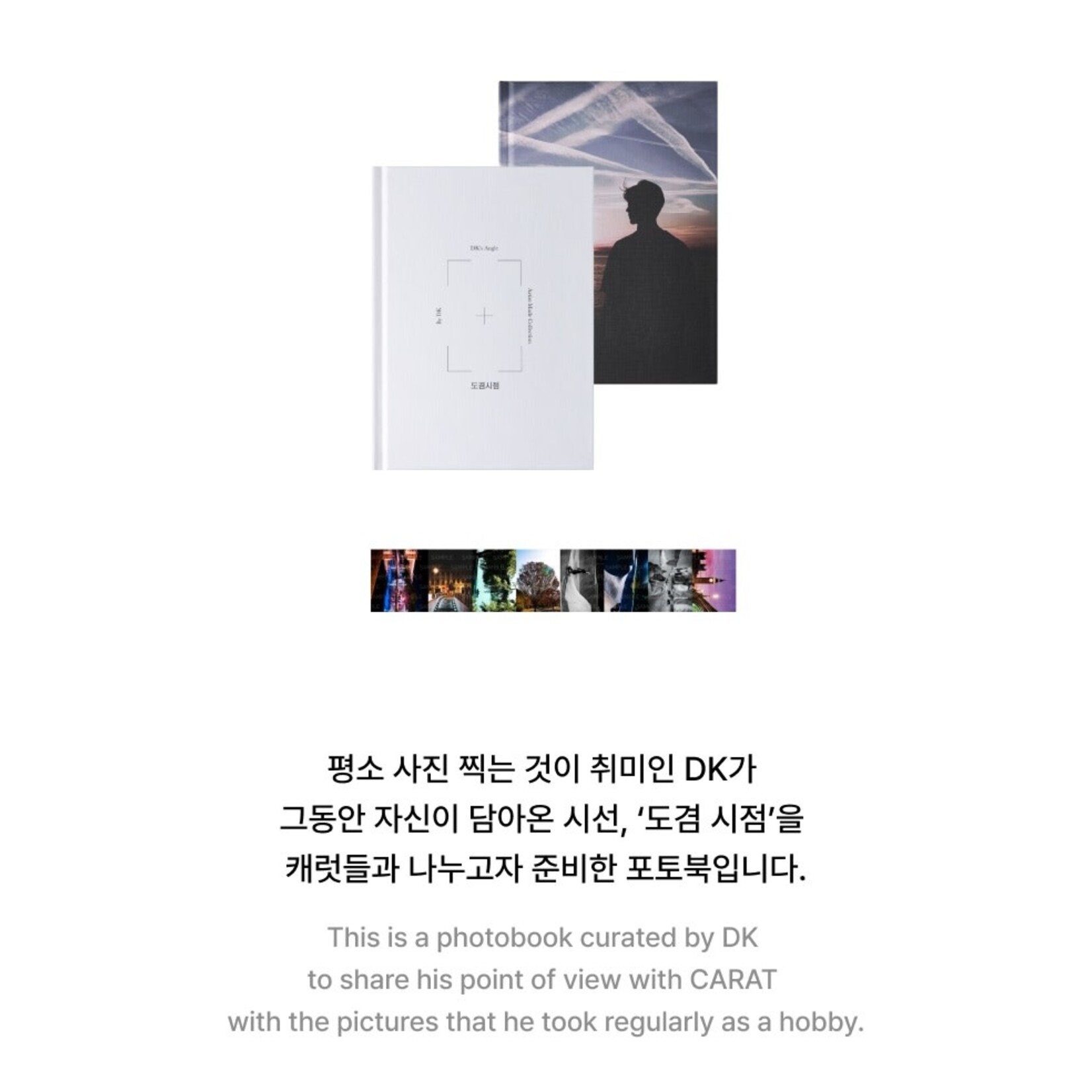 Seventeen SEVENTEEN - ARTIST MADE [DK] DK's Angle Photo Book