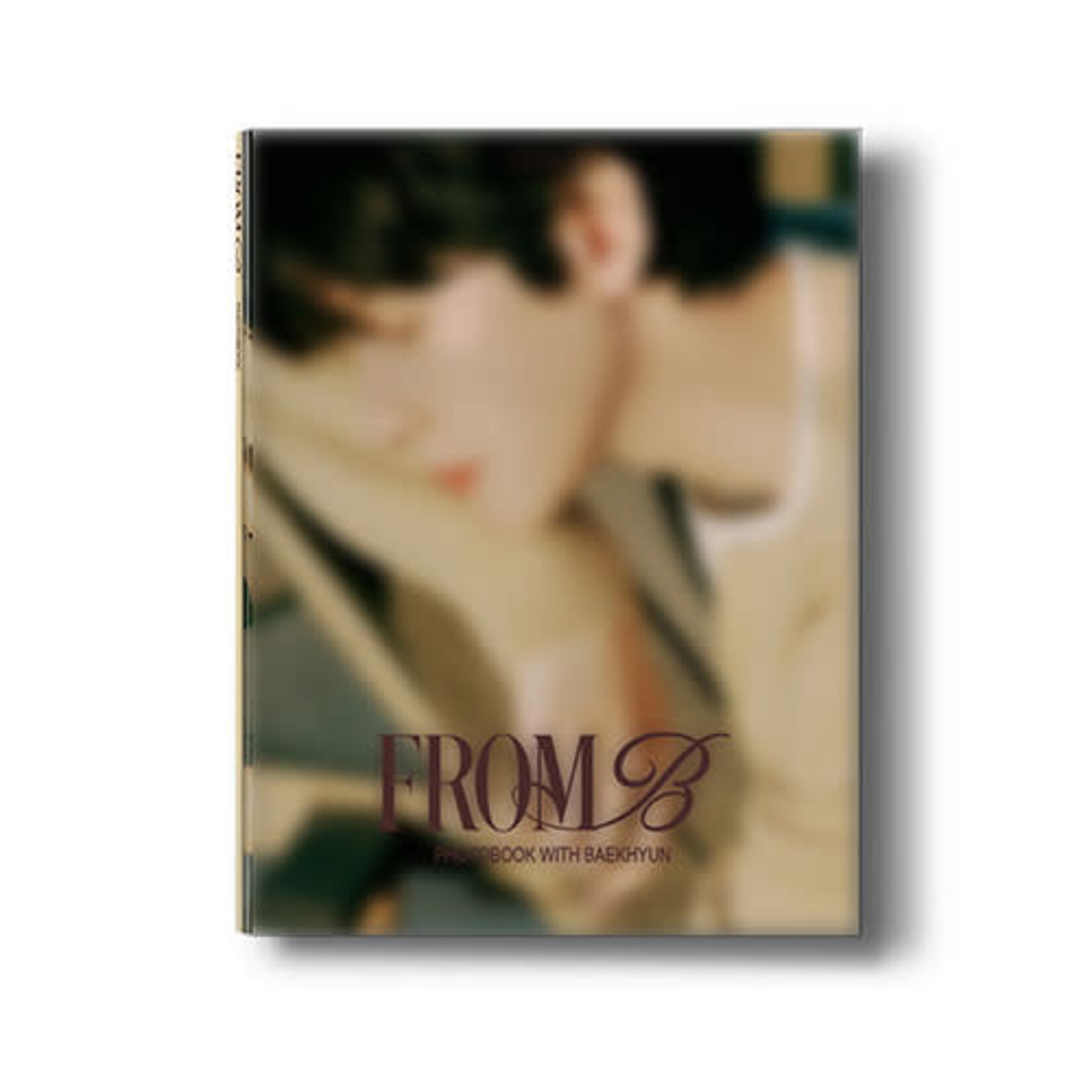 EXO BAEK HYUN - PHOTOBOOK [FROM B] (A ver.)