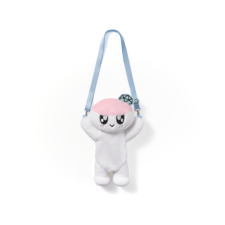 SEVENTEEN - 2025 SVT 9TH FAN MEETING BONGBONGEE Official Light