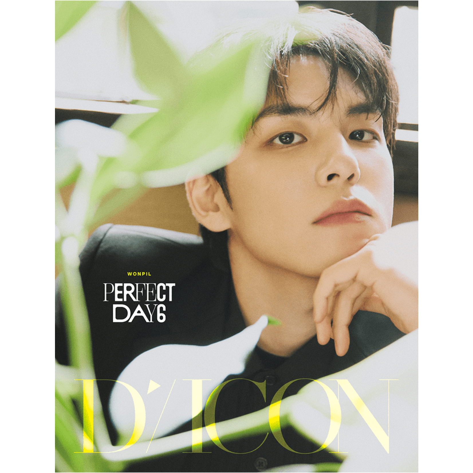 DAY6 DAY 6 - DICON VOLUME N°27 PERFECT DAY6