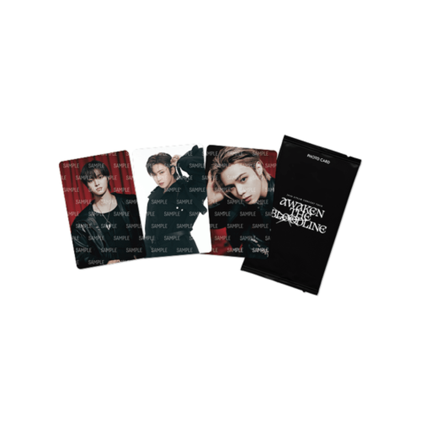 &Team &TEAM - 2025 &TEAM CONCERT TOUR 'AWAKEN THE BLOODLINE' PHOTO CARD