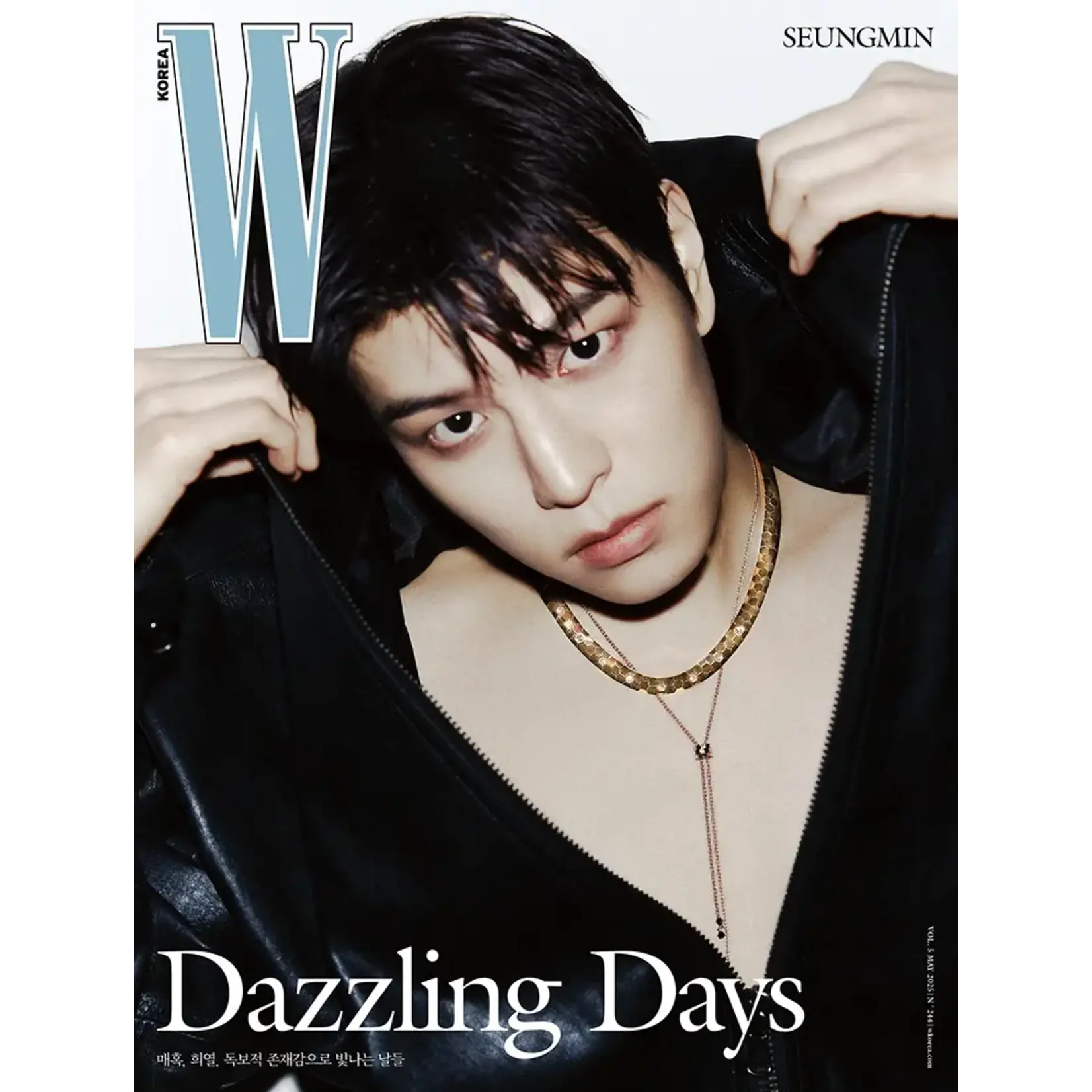 Stray Kids W - 2025 May (Seungmin)