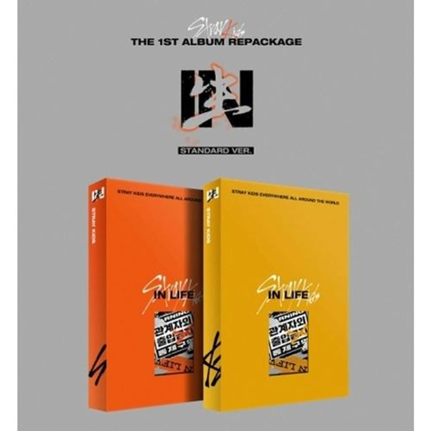 Stray Kids Stray Kids - 1st Album REPACKAGE [IN生 : IN LIFE]