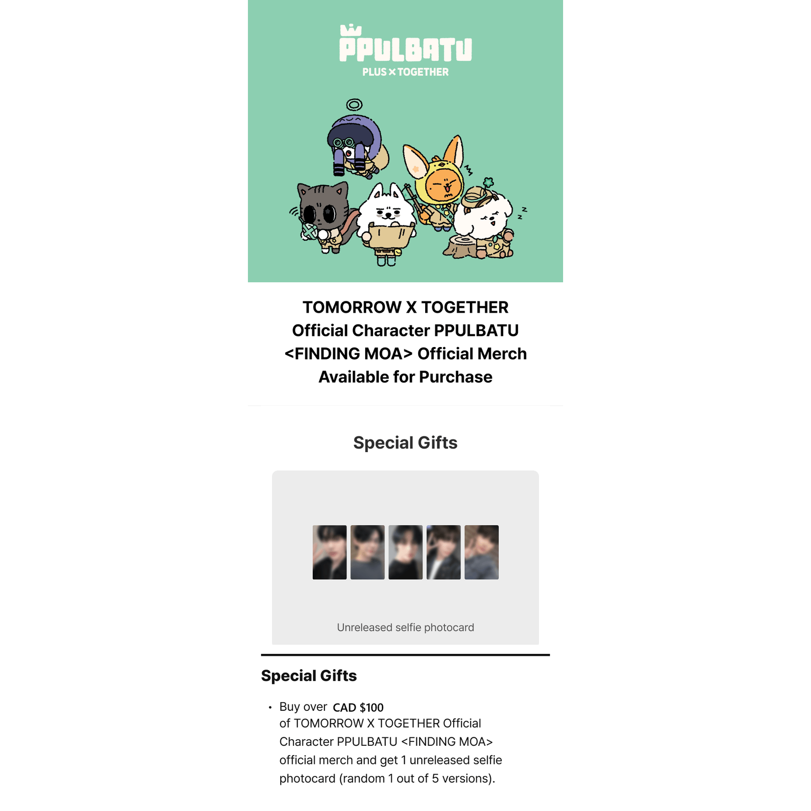 TXT TOMORROW X TOGETHER - PPULBATU  : Photocard Holder