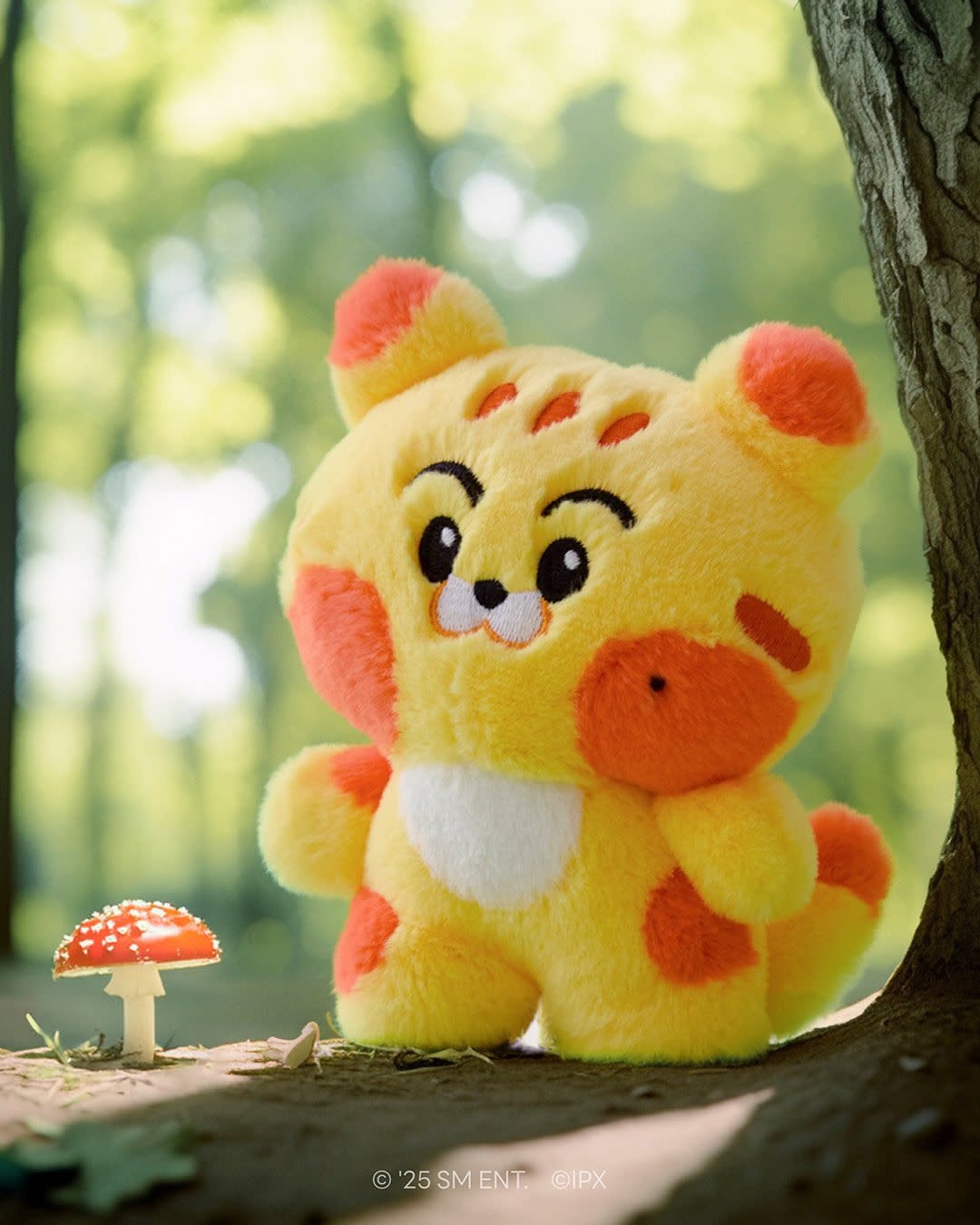 nct dream チソン　dreamiez NCT DREAM - Dreamiez PLUSH - K-Town