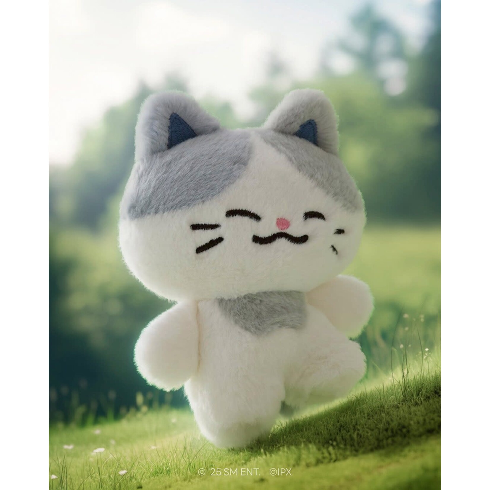 NCT NCT DREAM - Dreamiez PLUSH