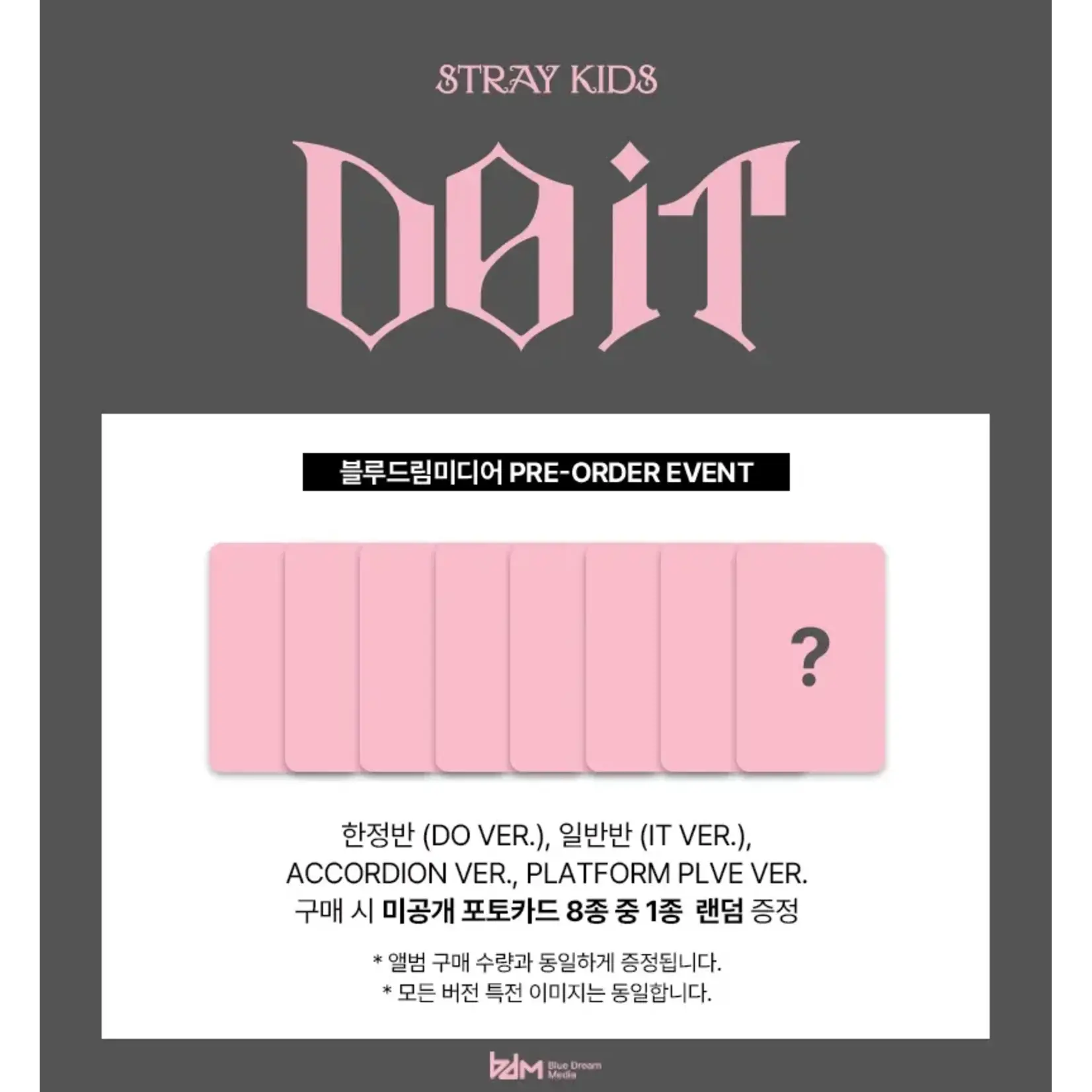 Stray Kids Stray Kids - SKZ IT TAPE ‘DO IT’ (ACCORDION VER.) + Random Photocard (BDM)