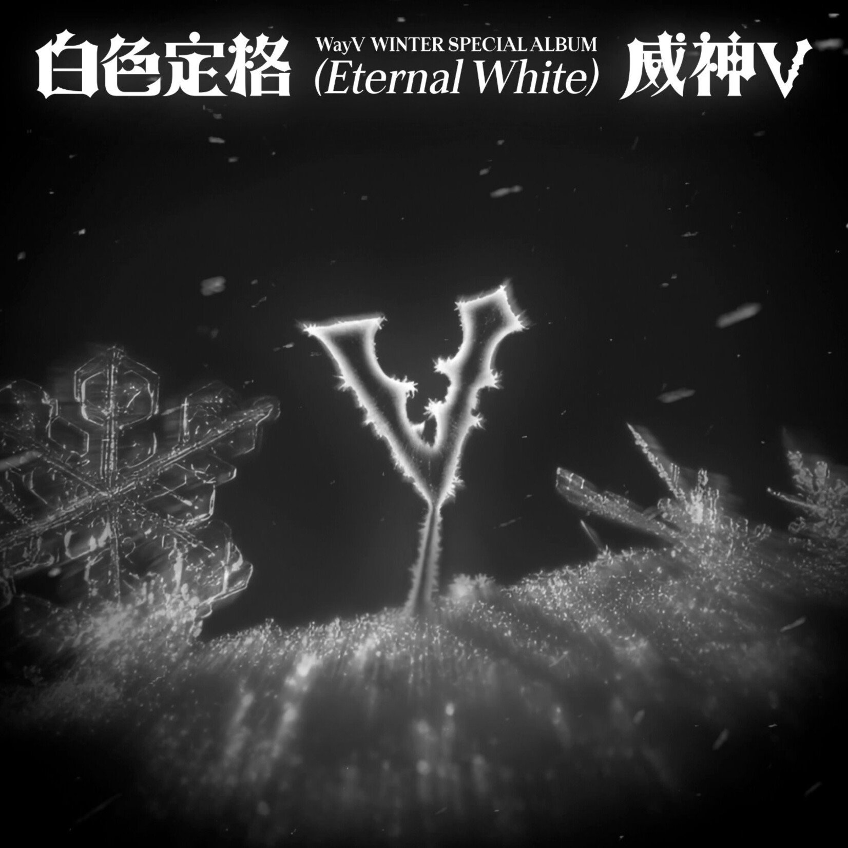 NCT WayV - Winter Special Album [白色定格 (Eternal White)] (Photo Book Ver.)