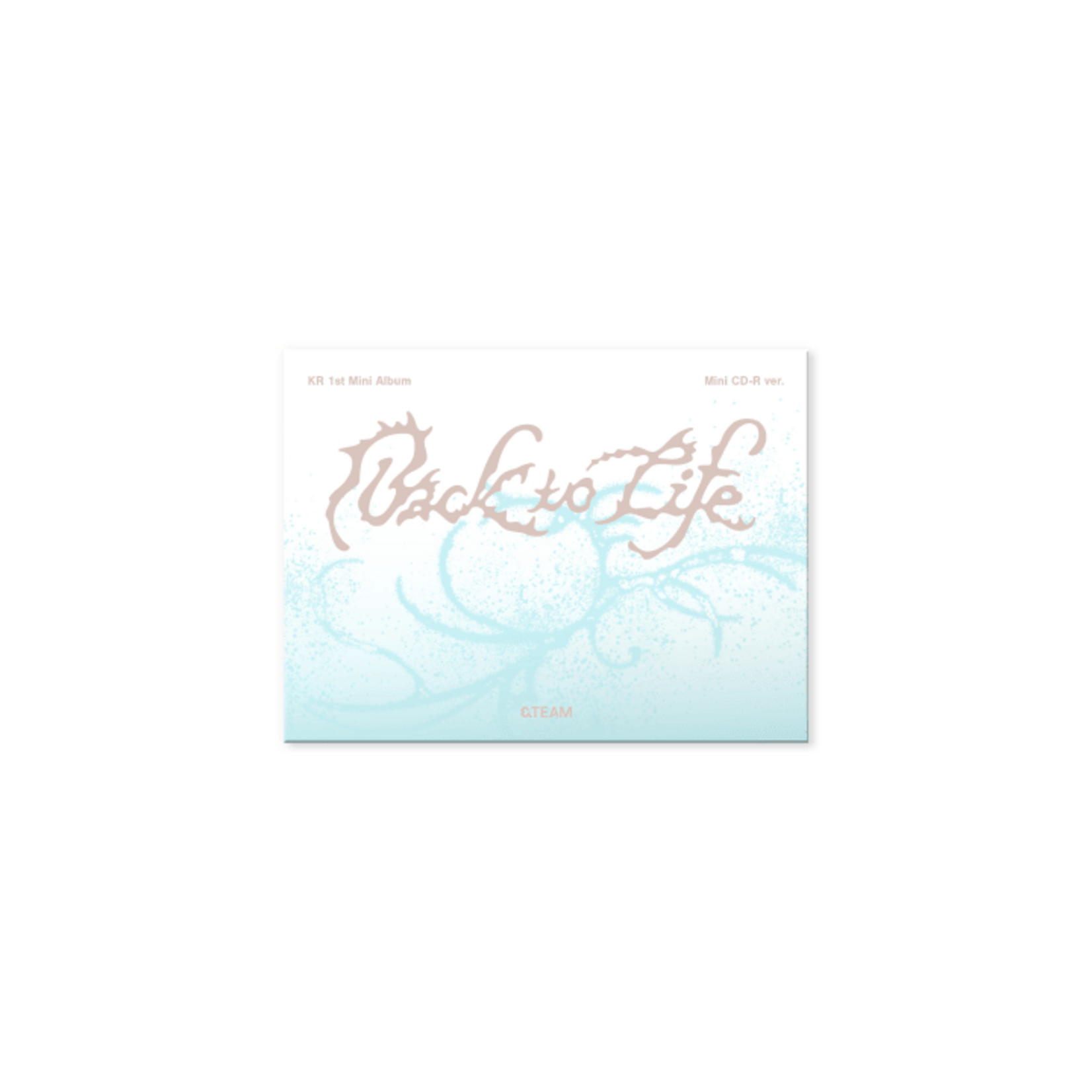 &Team &TEAM - KR 1st Mini Album [Back to Life] (Photocard Box) (Mini CD-R ver.)