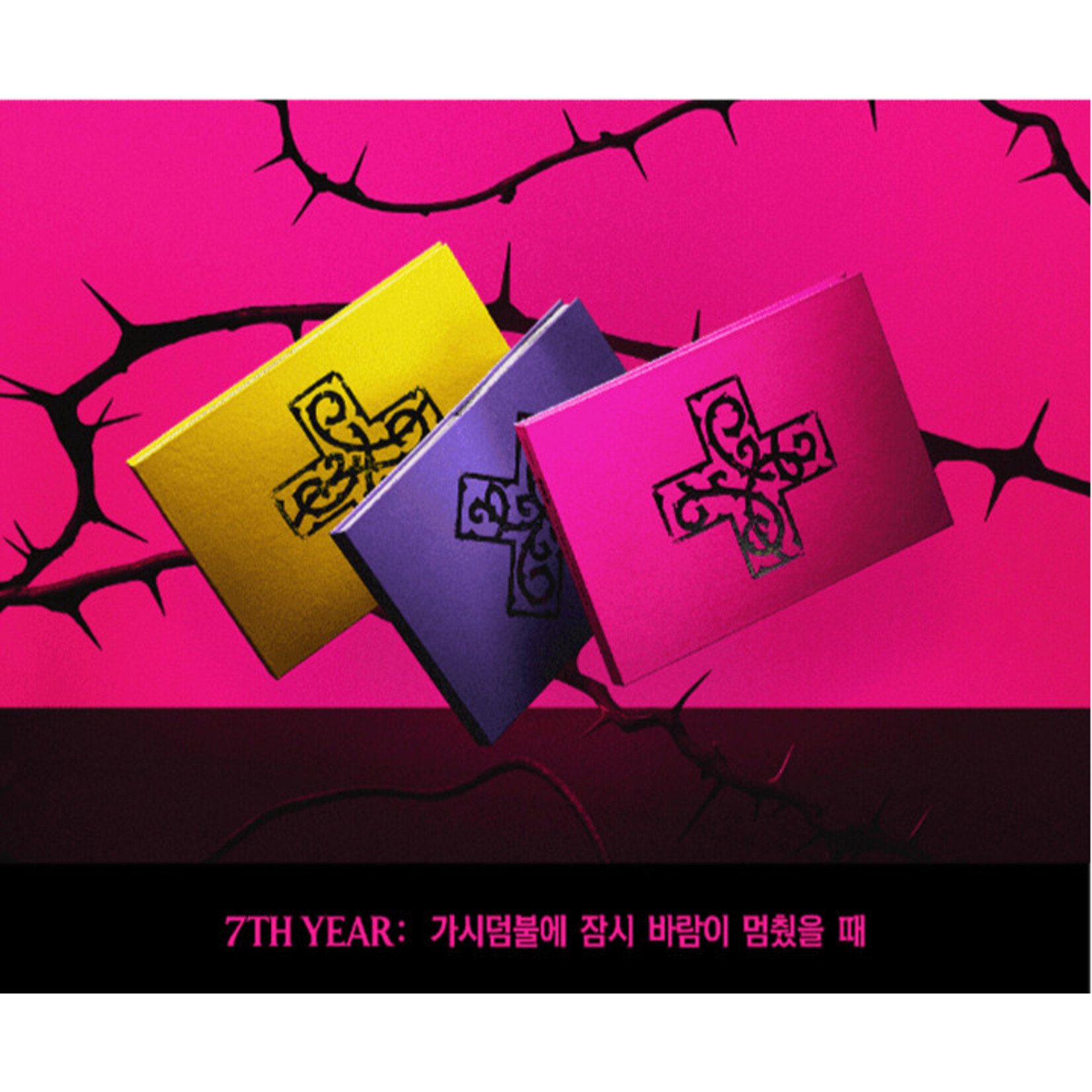 TXT TOMORROW X TOGETHER (TXT) - 7TH YEAR: WHEN THE WIND PAUSED AMONG THE THORNS (Photobook Ver.)