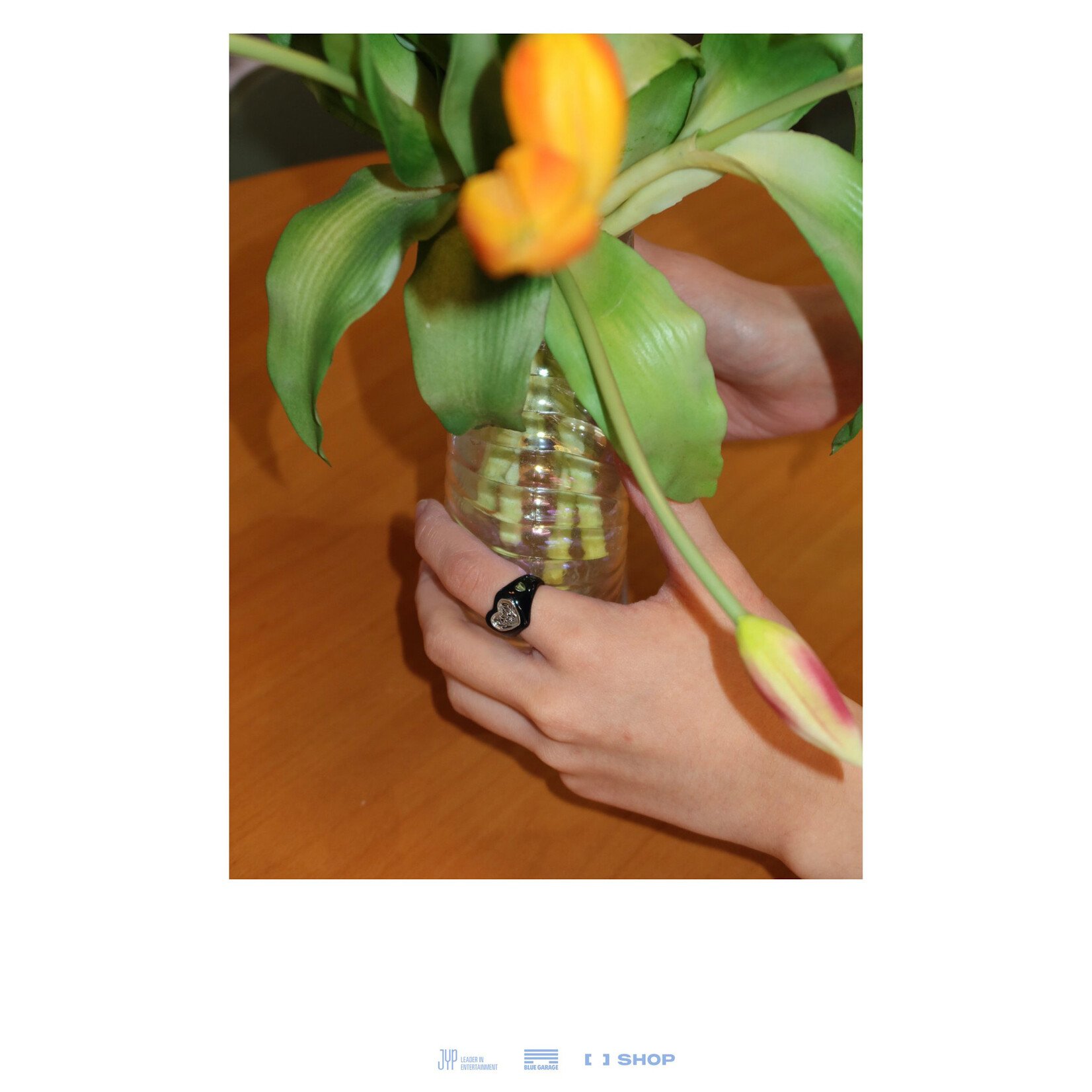 Stray Kids Stray Kids - 6TH FANMEETING [STAY in Our Little House] RING