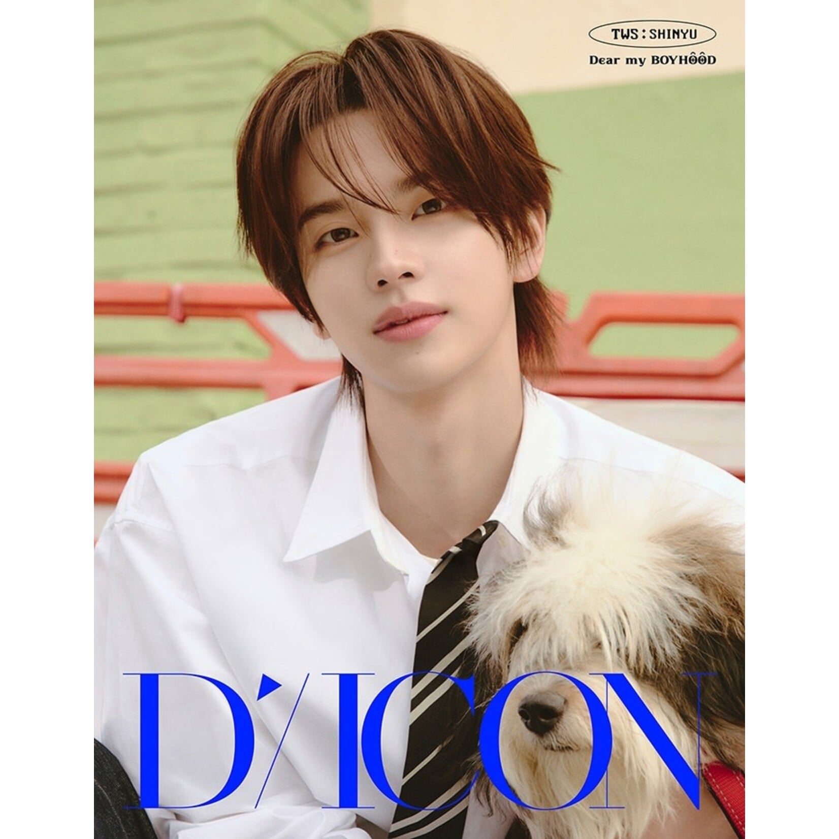 TWS TWS - DICON VOLUME N°34 TWS DEAR MY BOYHOOD