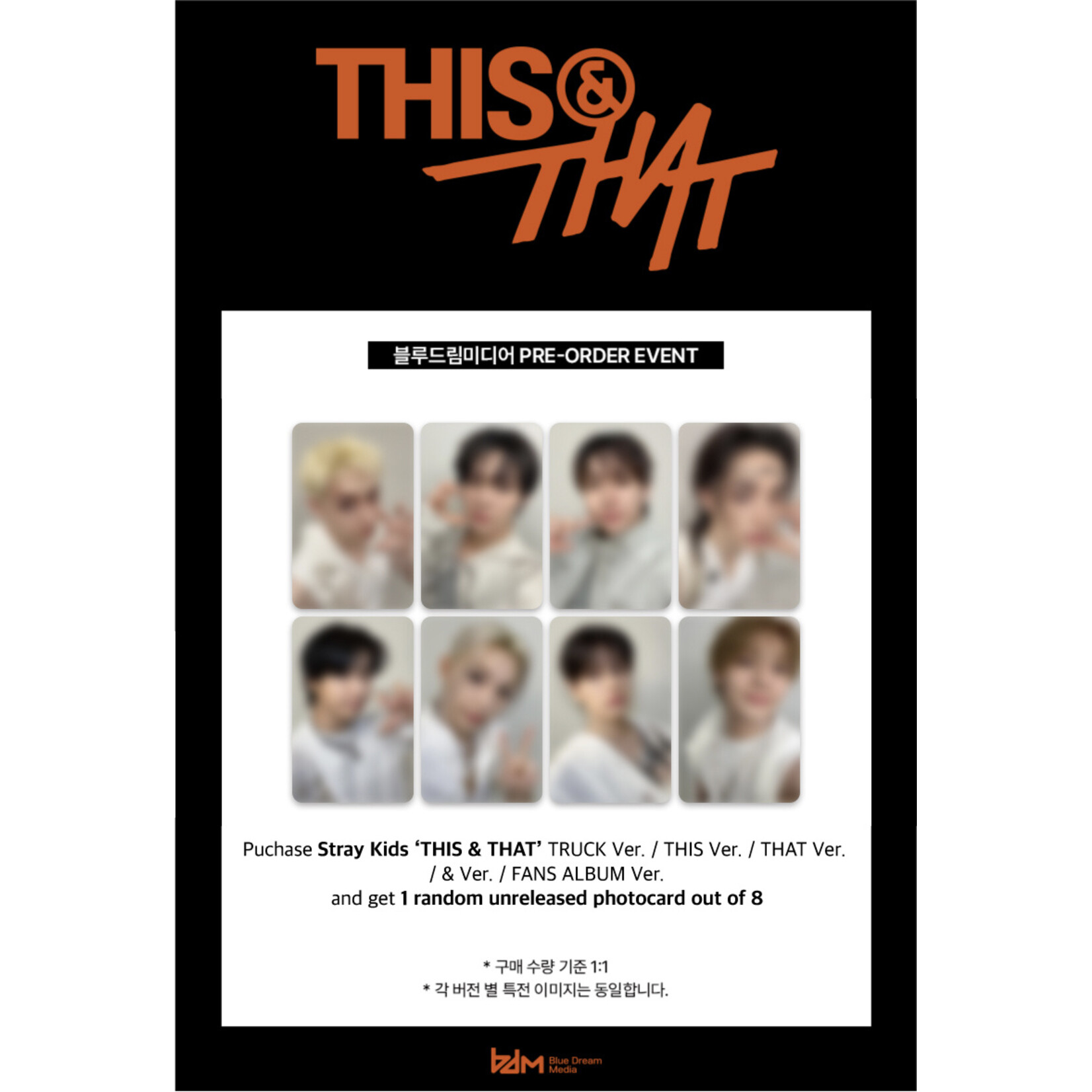 Stray Kids Stray Kids - [THIS & THAT] (FANS ALBUM VER.) + Random Photocard (BDM)