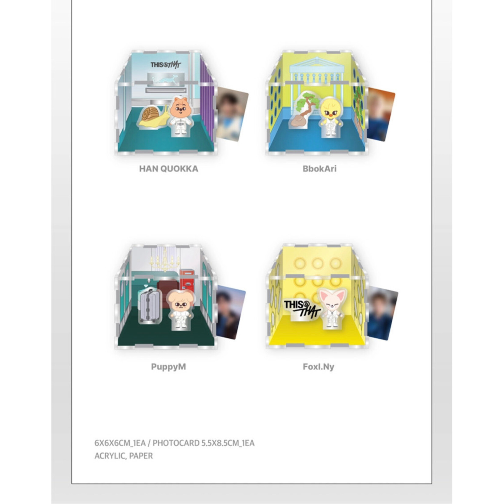 Stray Kids Stray Kids - [THIS & THAT] POP-UP MD SKZOO ACRYLIC CONTAINER BOX (WEEK 2)