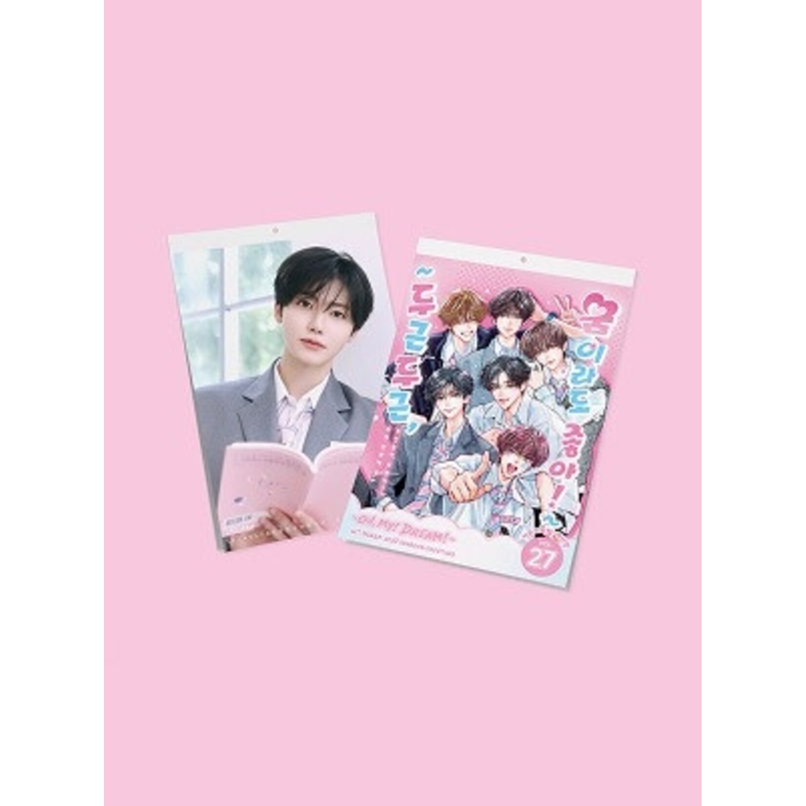 NCT NCT DREAM - [2027 SEASON'S GREETINGS] (Wall Calendar)