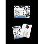 Riize RIIZE - [2027 SEASON'S GREETINGS + Wall Calendar SET] + Photocard SET A & B + Random Removable Sticker + Random Photocard (SM)