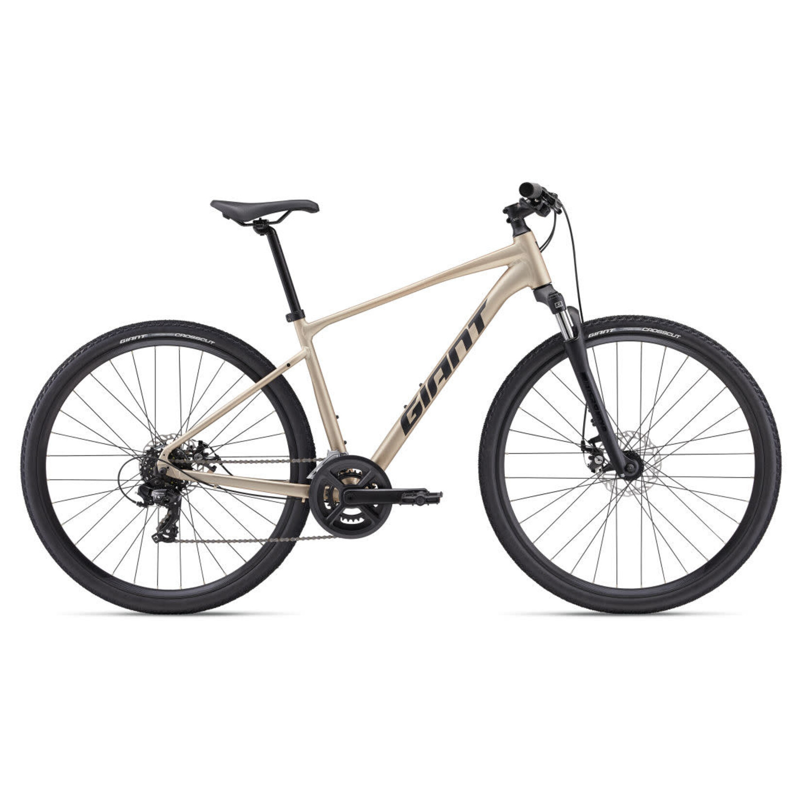Giant Giant Roam Disc 4