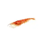 Overcast Lure Co. Bucking Shrimp Roseau Red Artificial Shrimp, 4 Pack, 2 Rigged