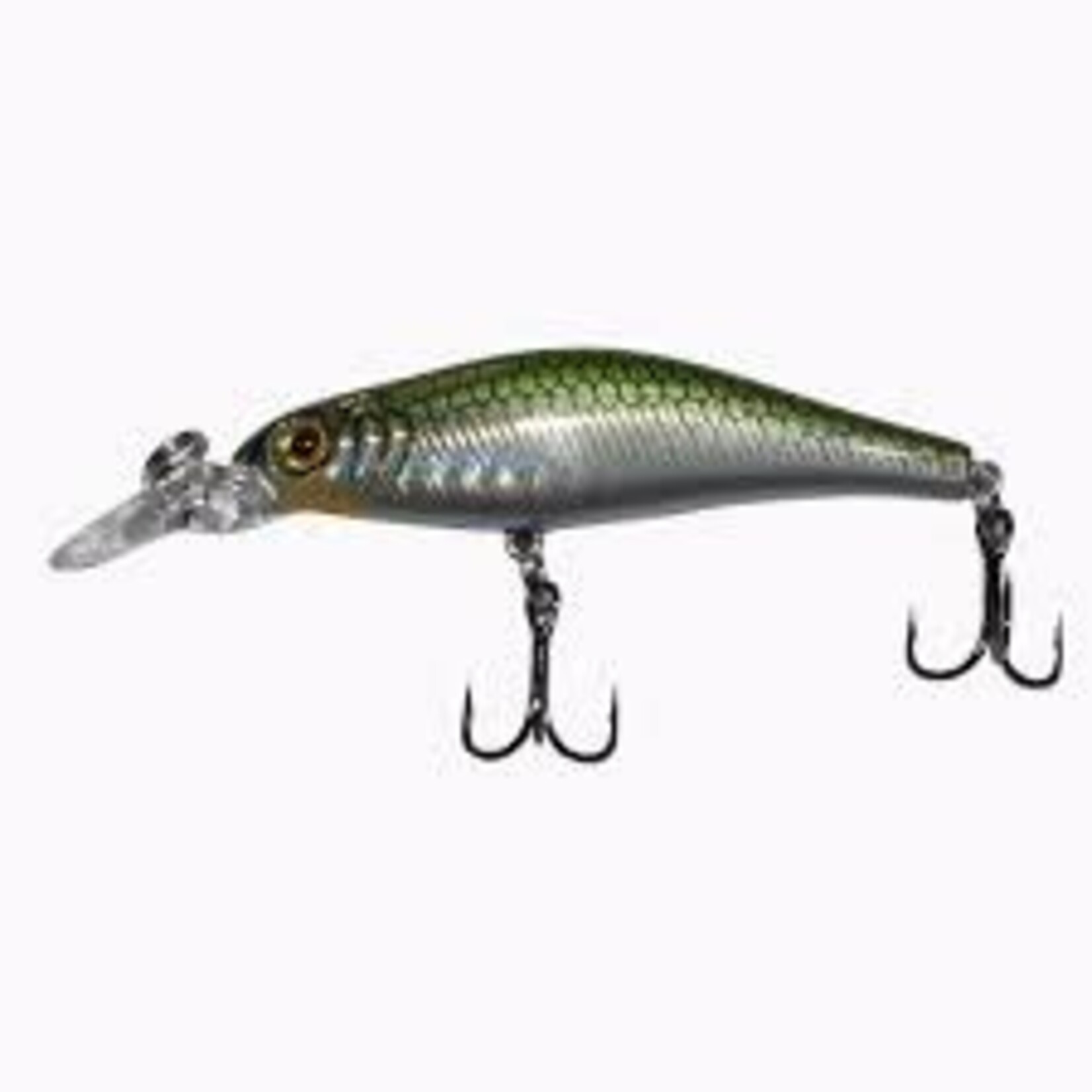 Matrix Matrix Minnow March Cricket