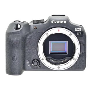 Canon Used Canon EOS R7 Mirrorless Camera Body Only