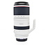 Canon Used Canon RF 100-500mm f/4.5-7.1 L IS USM Lens