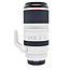 Canon Used Canon RF 100-500mm f/4.5-7.1 L IS USM Lens