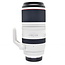 Canon Used Canon RF 100-500mm f/4.5-7.1 L IS USM Lens