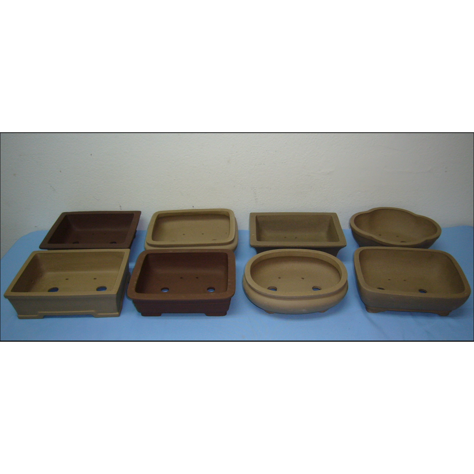 Sunshine Tropical Gardens Unglazed Bonsai Pot, 8" Assorted