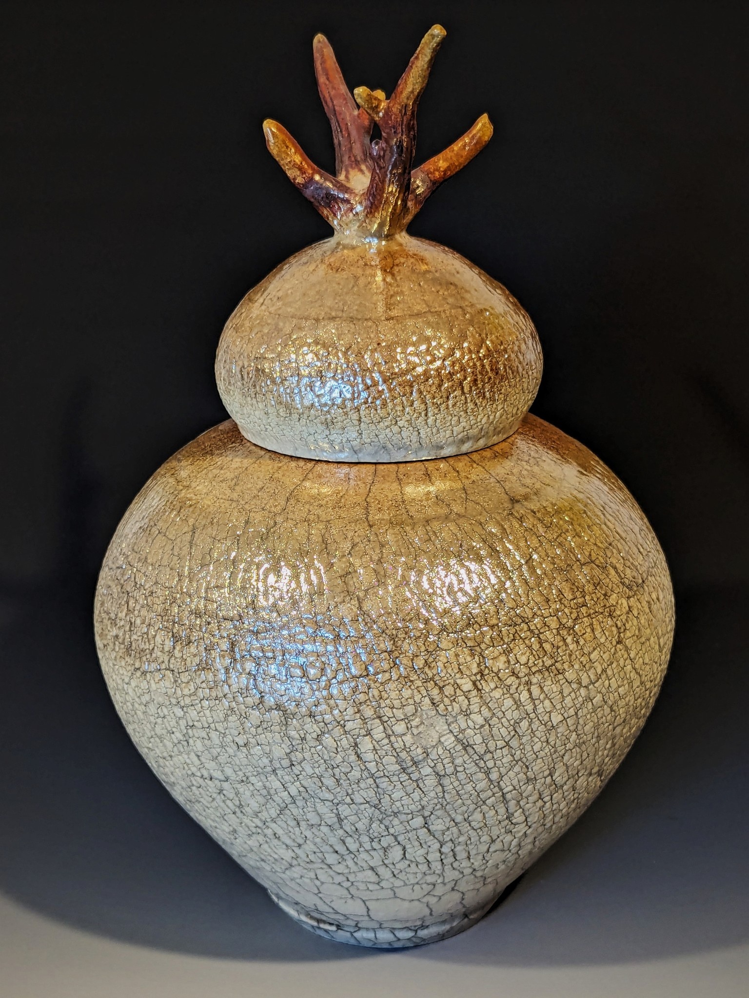 Fumed Raku 1 - Silver Bonsai Gallery