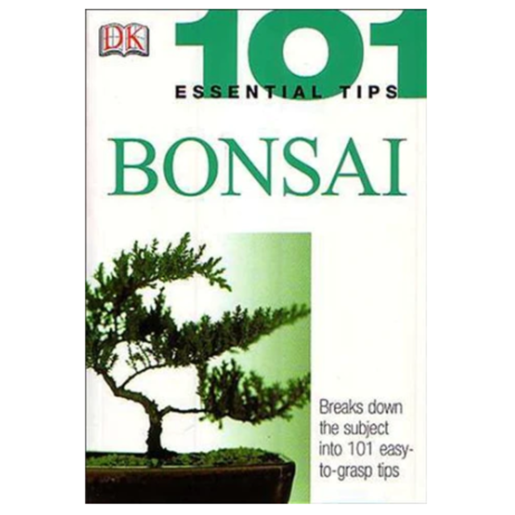 Stone Lantern/Bonsai Today 101 Essential Tips: Bonsai