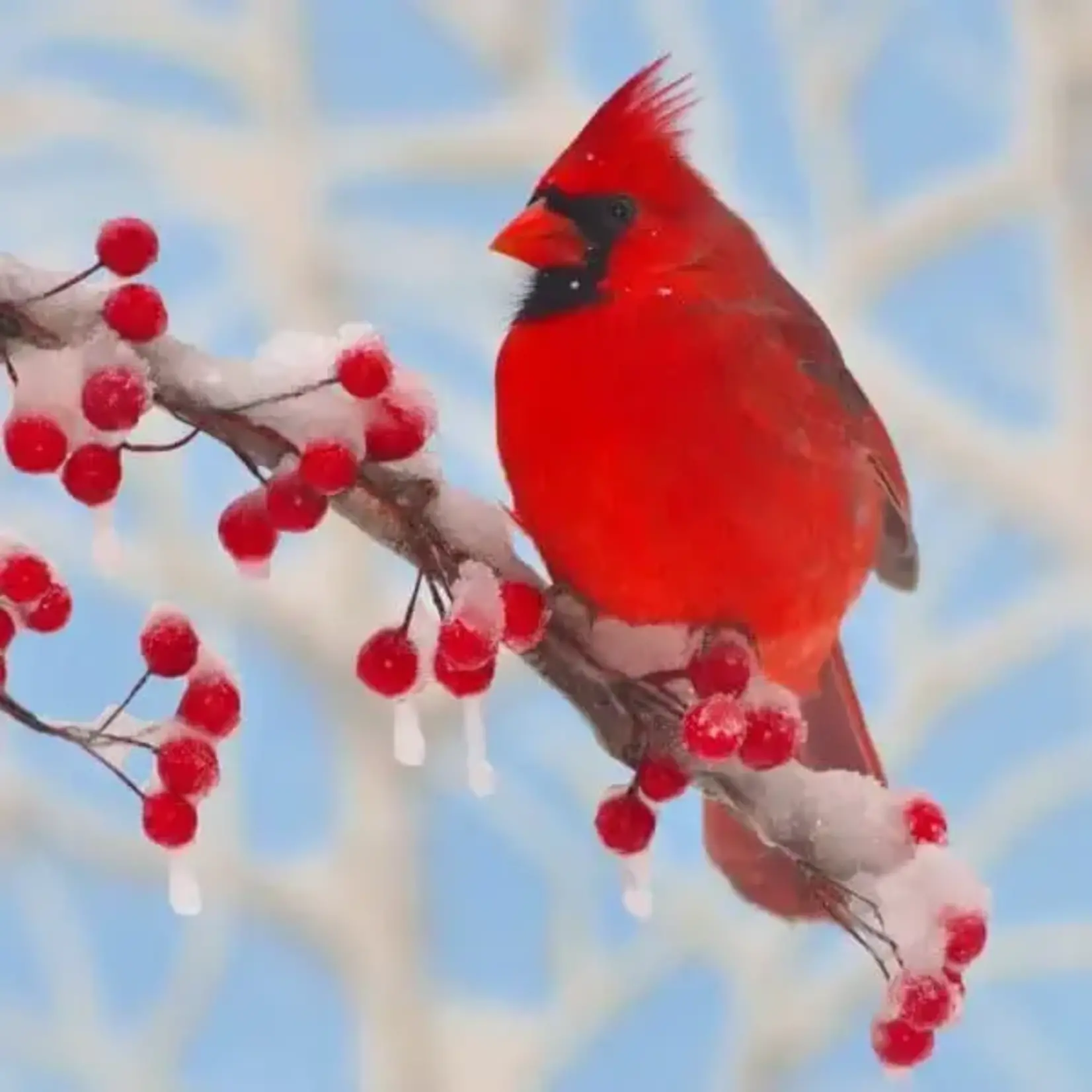 Zen Art & Design Zen Puzzle Teaser - Winter Cardinal