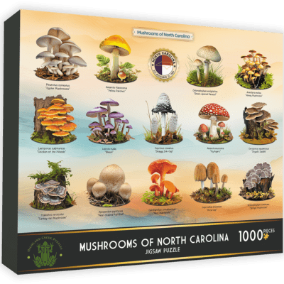 Mushrooms of North Carolina - 1000 pc Puzzle - Silver Bonsai Gallery