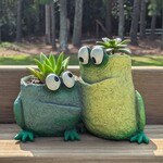 Cohasset Gifts Frog Pals Planter w/ Succulent