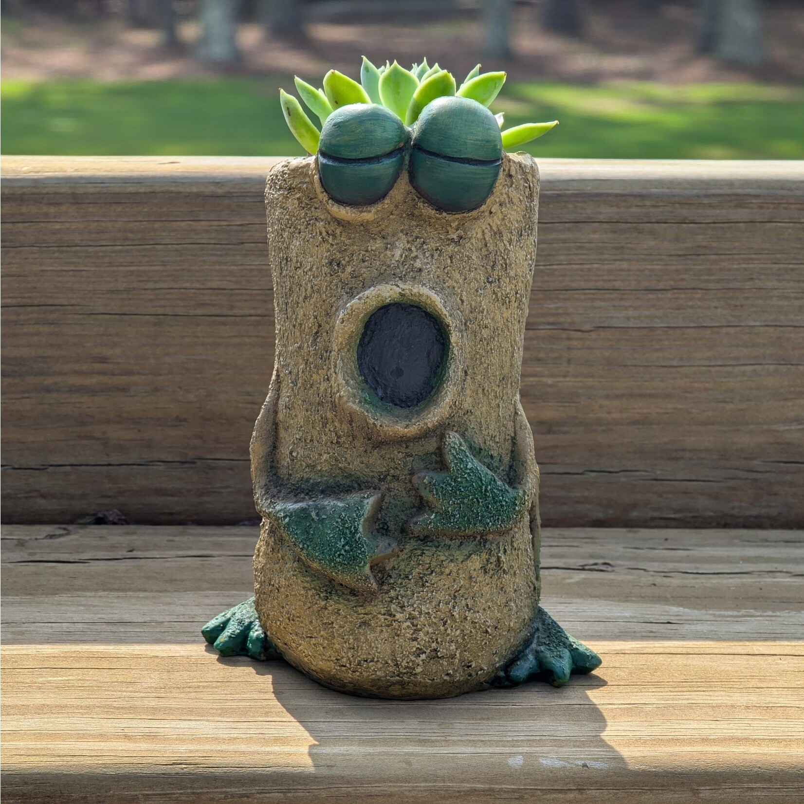 Cohasset Gifts Luciano the Singing Frog Planter w/ Succulent