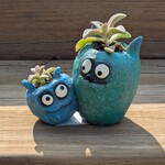 Cohasset Gifts Bloomies Wingman Planter w/ Succulent