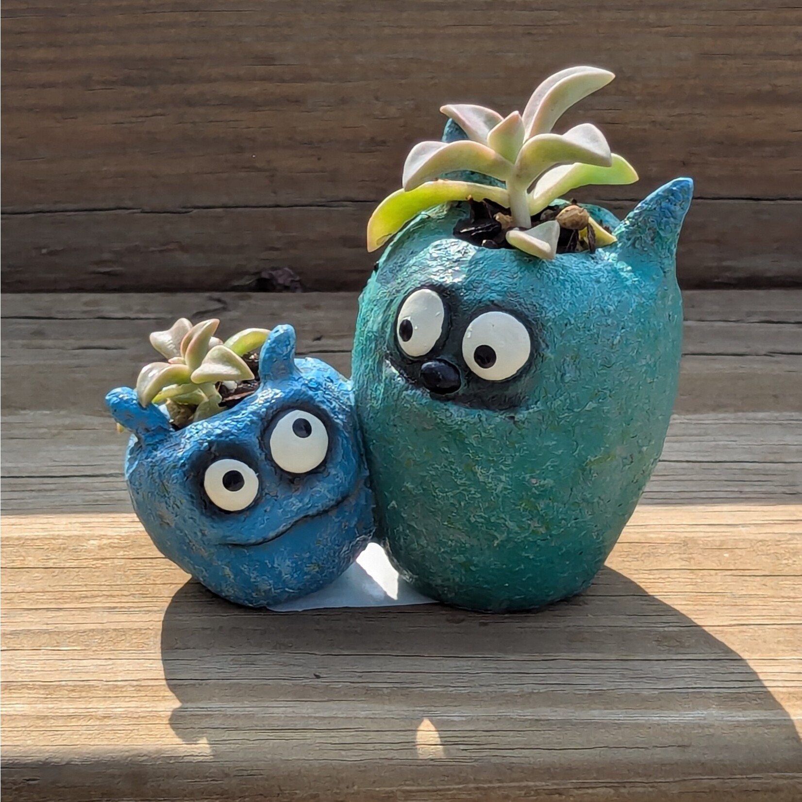 Cohasset Gifts Bloomies Wingman Planter w/ Succulent