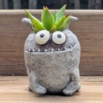 Cohasset Gifts Orbit Mini Planter w/ Succulent