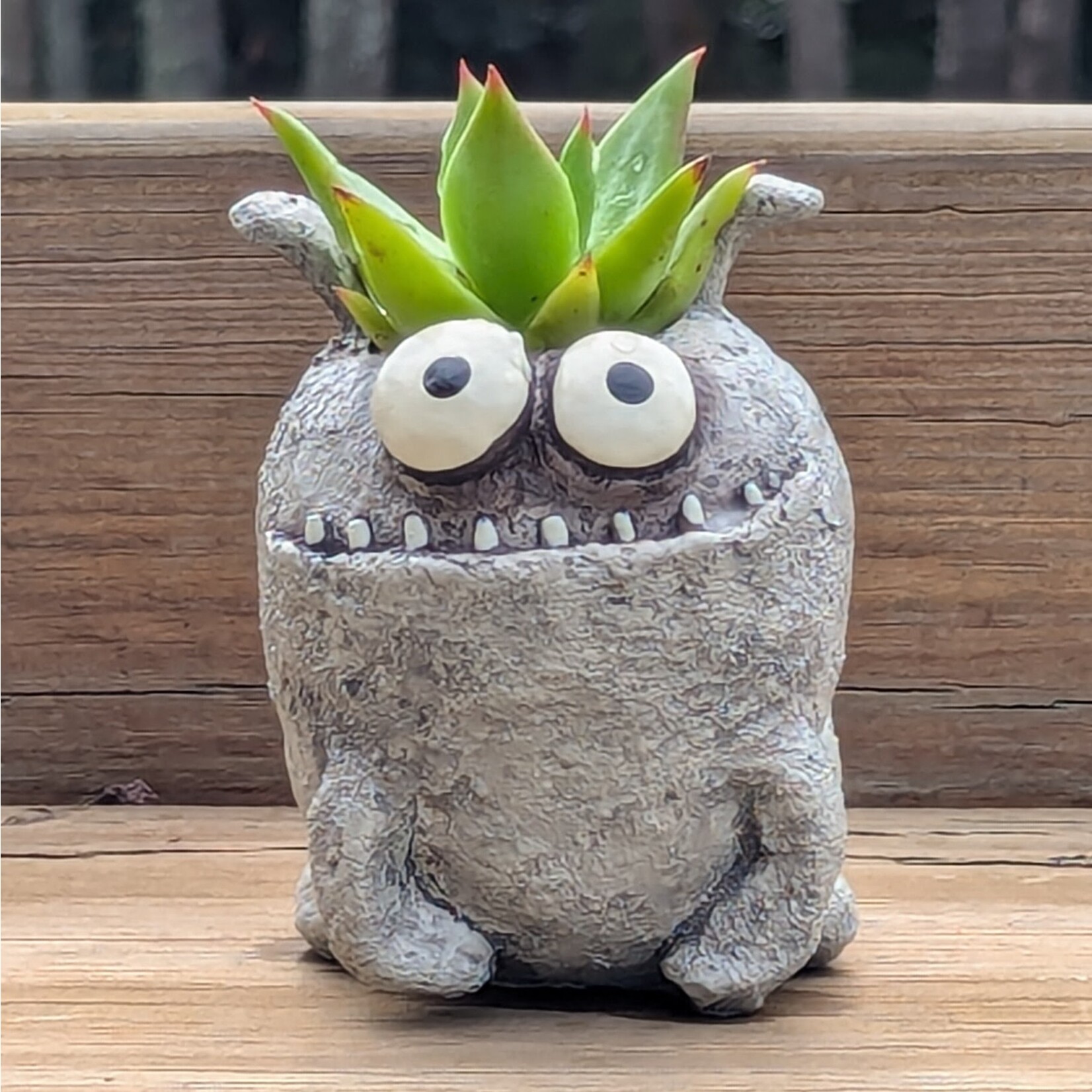 Cohasset Gifts Orbit Mini Planter w/ Succulent