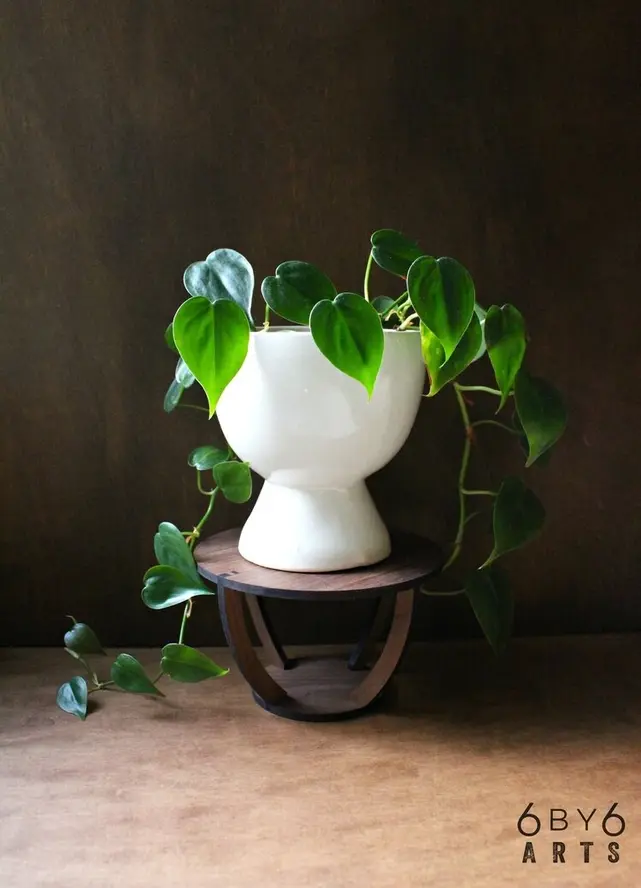 Circular Indoor Plant Stand - Walnut, Large - Silver Bonsai Gallery