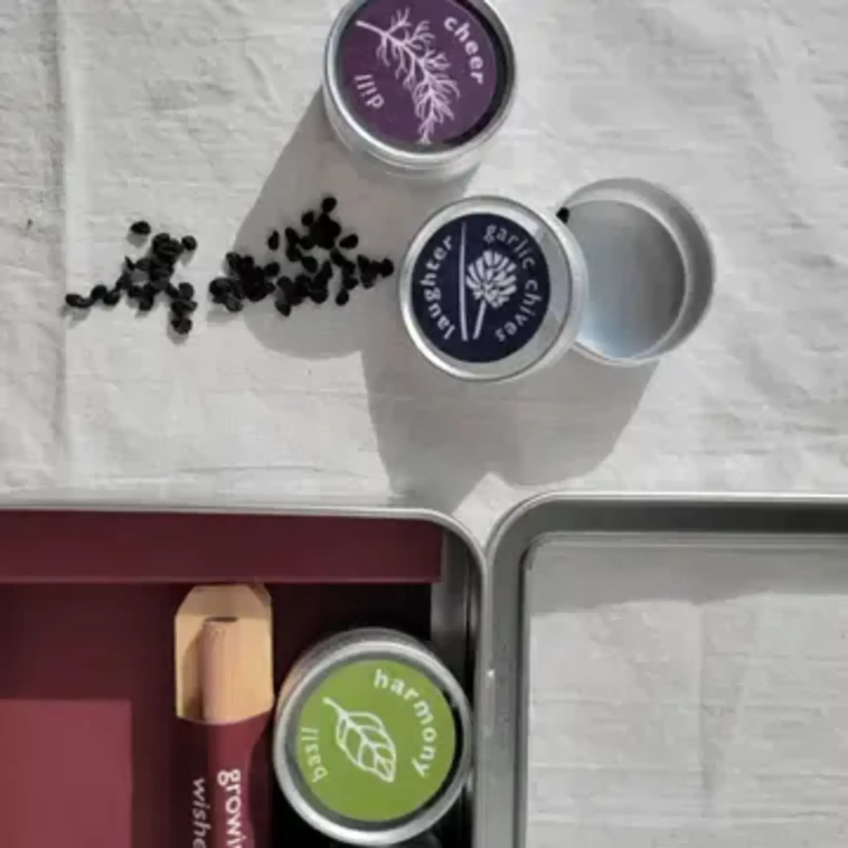 Potting Shed Creations Growing Wishes Gift Set