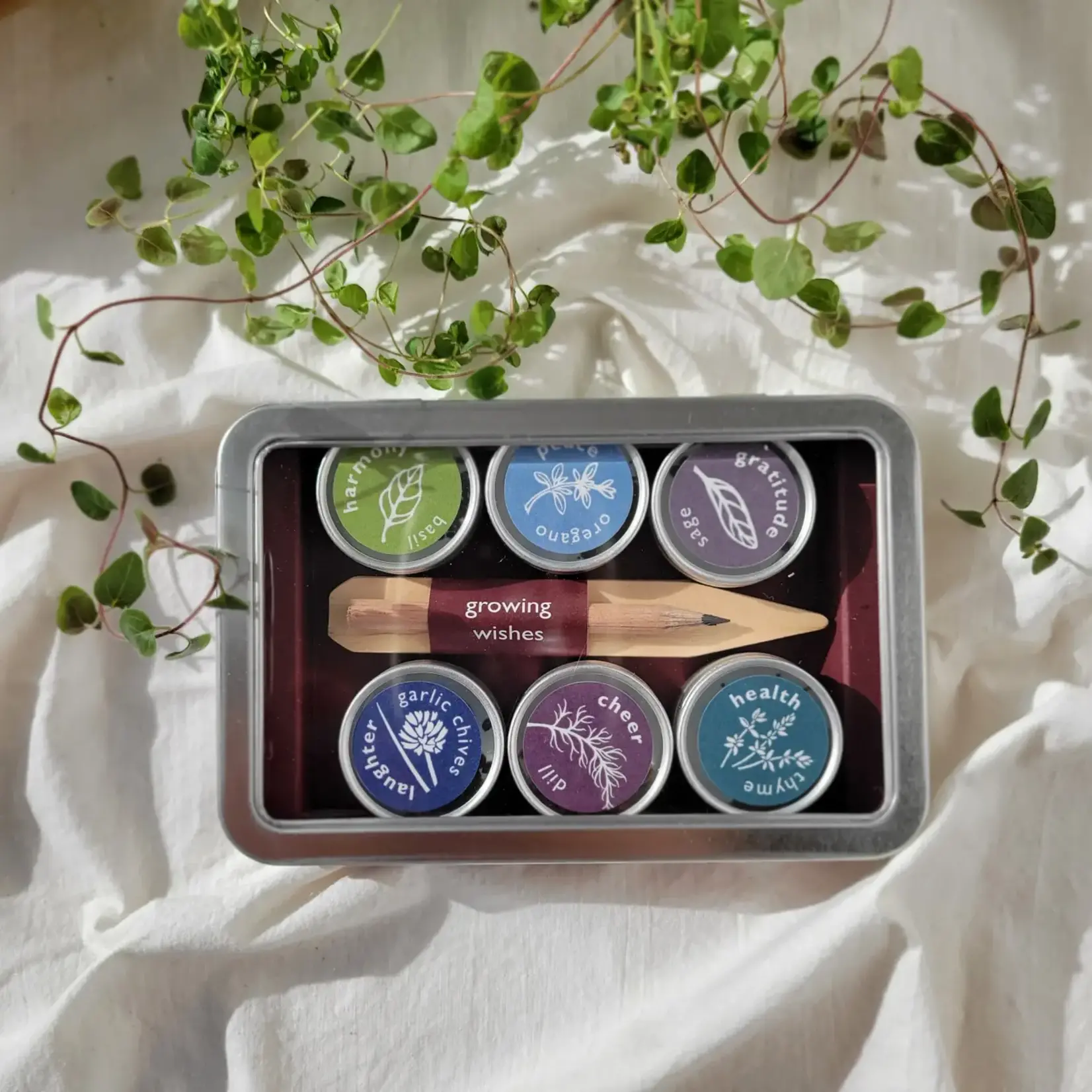 Potting Shed Creations Growing Wishes Gift Set