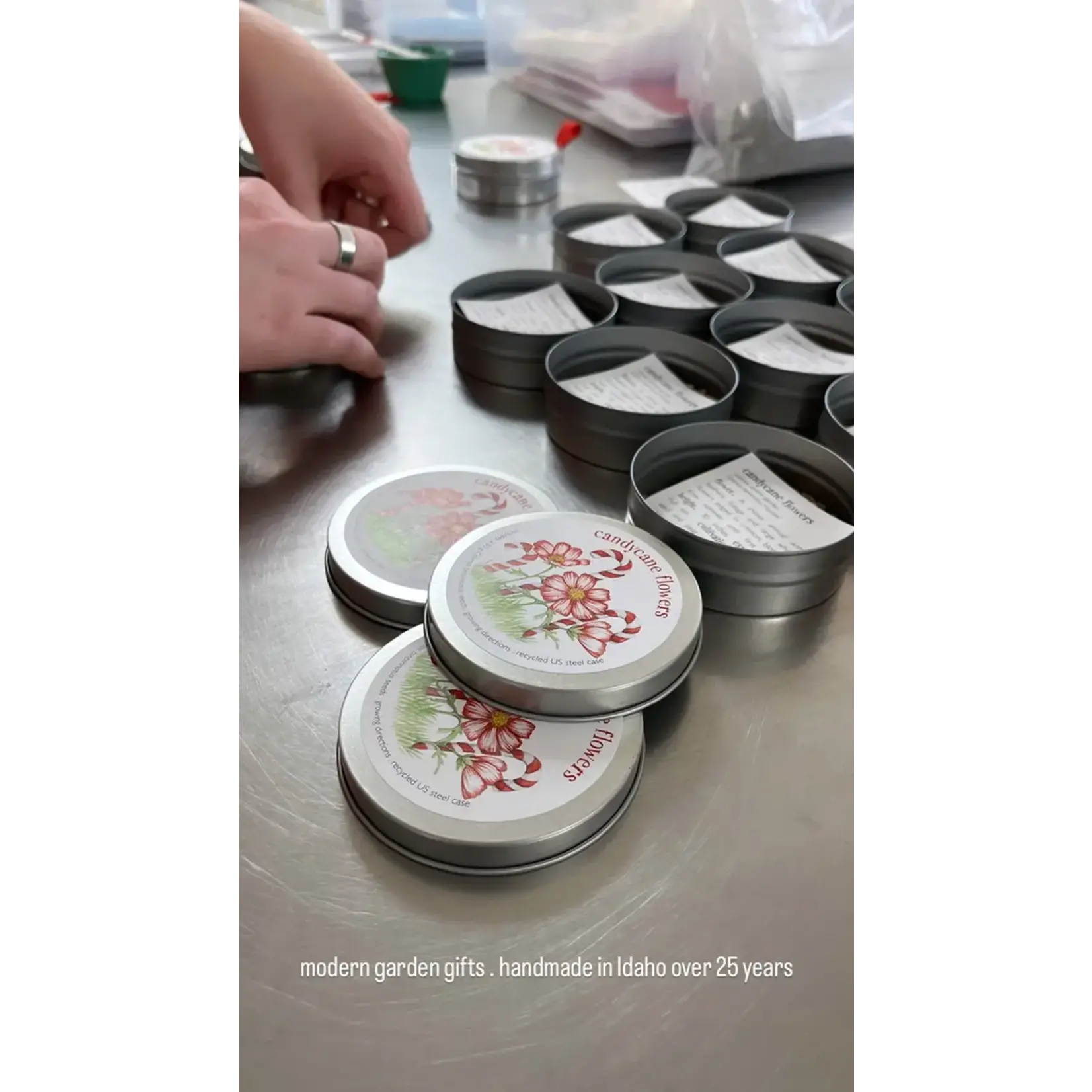 Garden Sprinkle Ornaments |Christmas tree