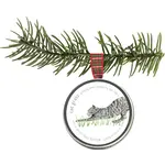 The Potter's Shed Pet Sprinkle Ornaments | Cat Grass