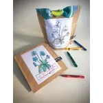 Potting Shed Creations Kids! Garden in A Bag - Viola