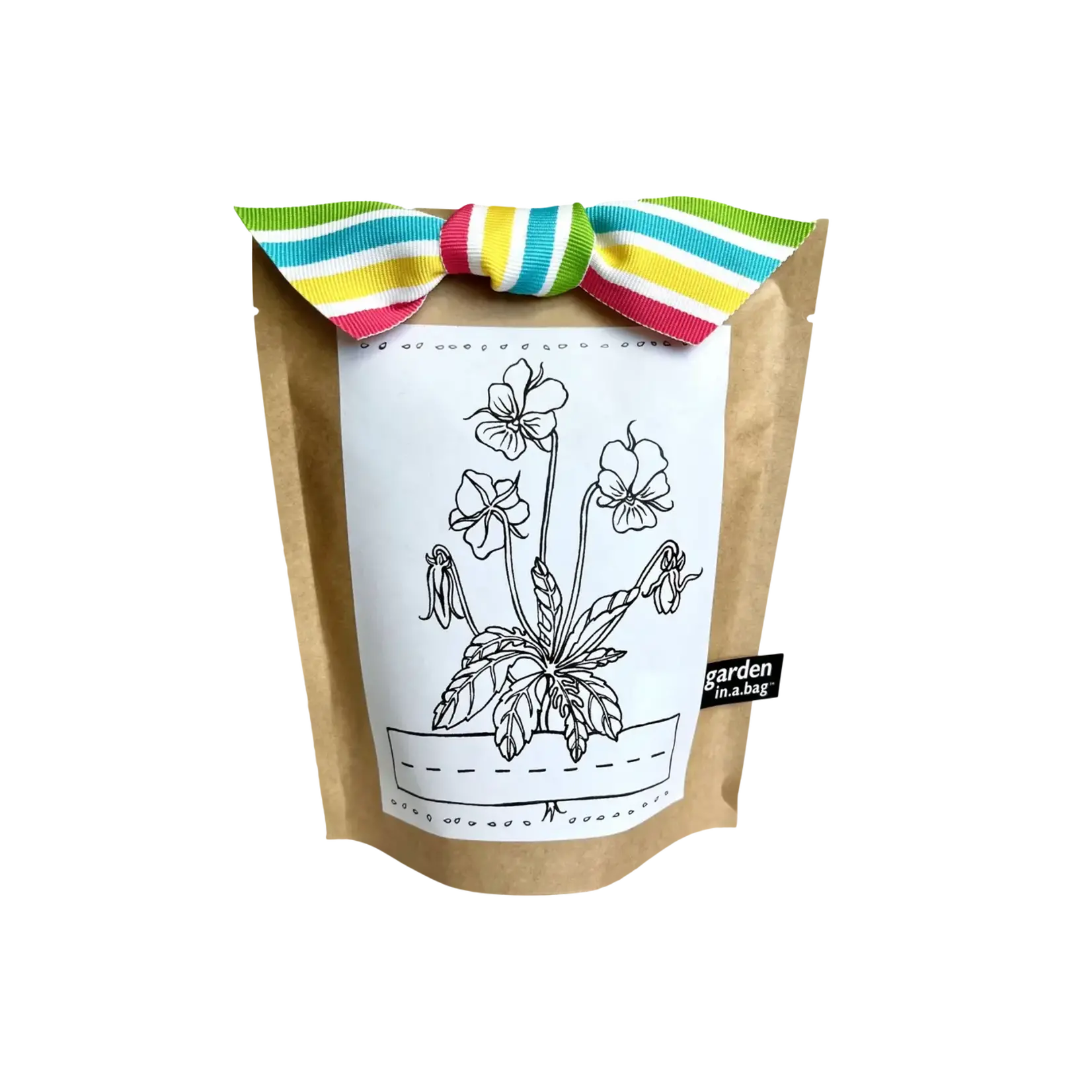 Potting Shed Creations Kids! Garden in A Bag - Viola