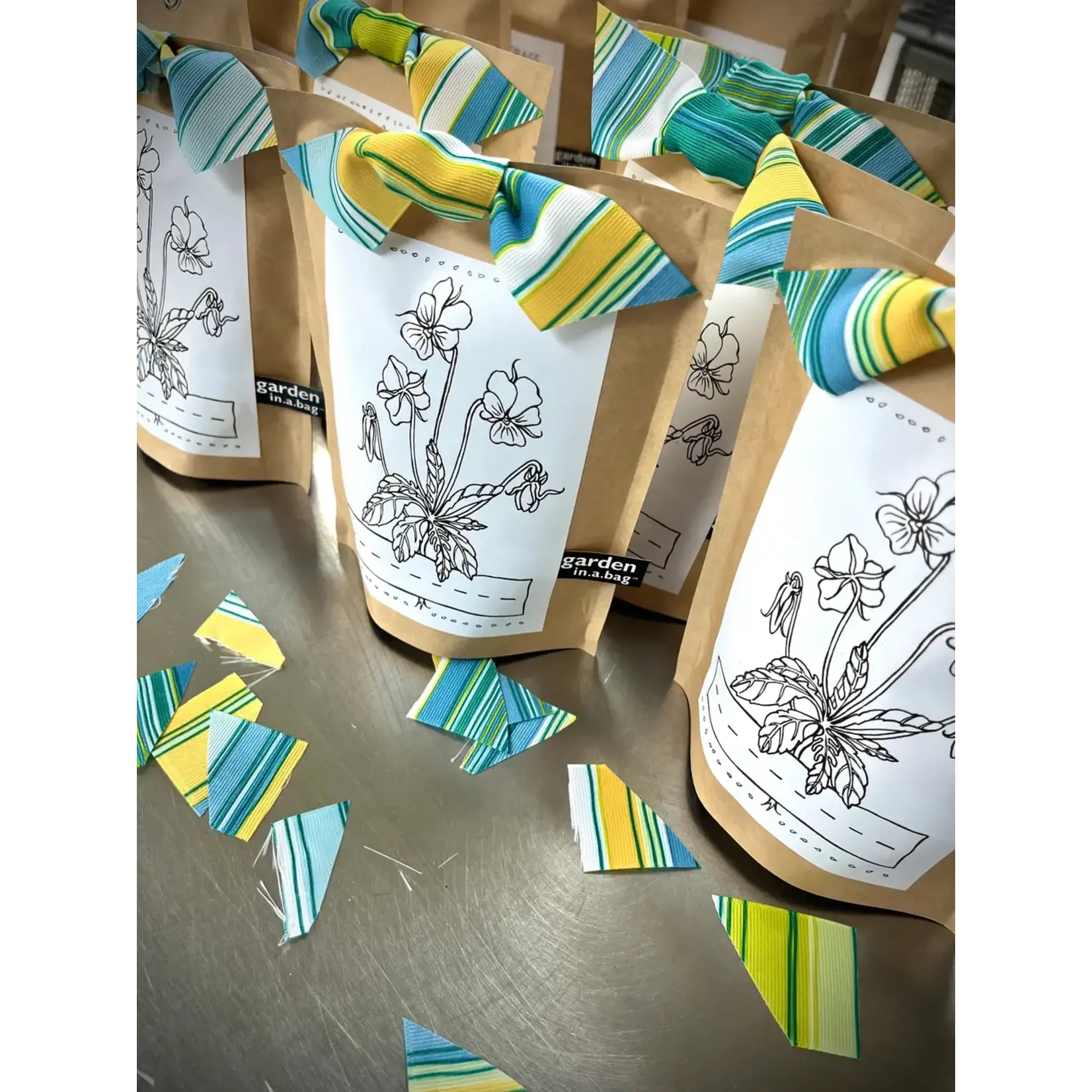 Potting Shed Creations Kids! Garden in A Bag - Viola