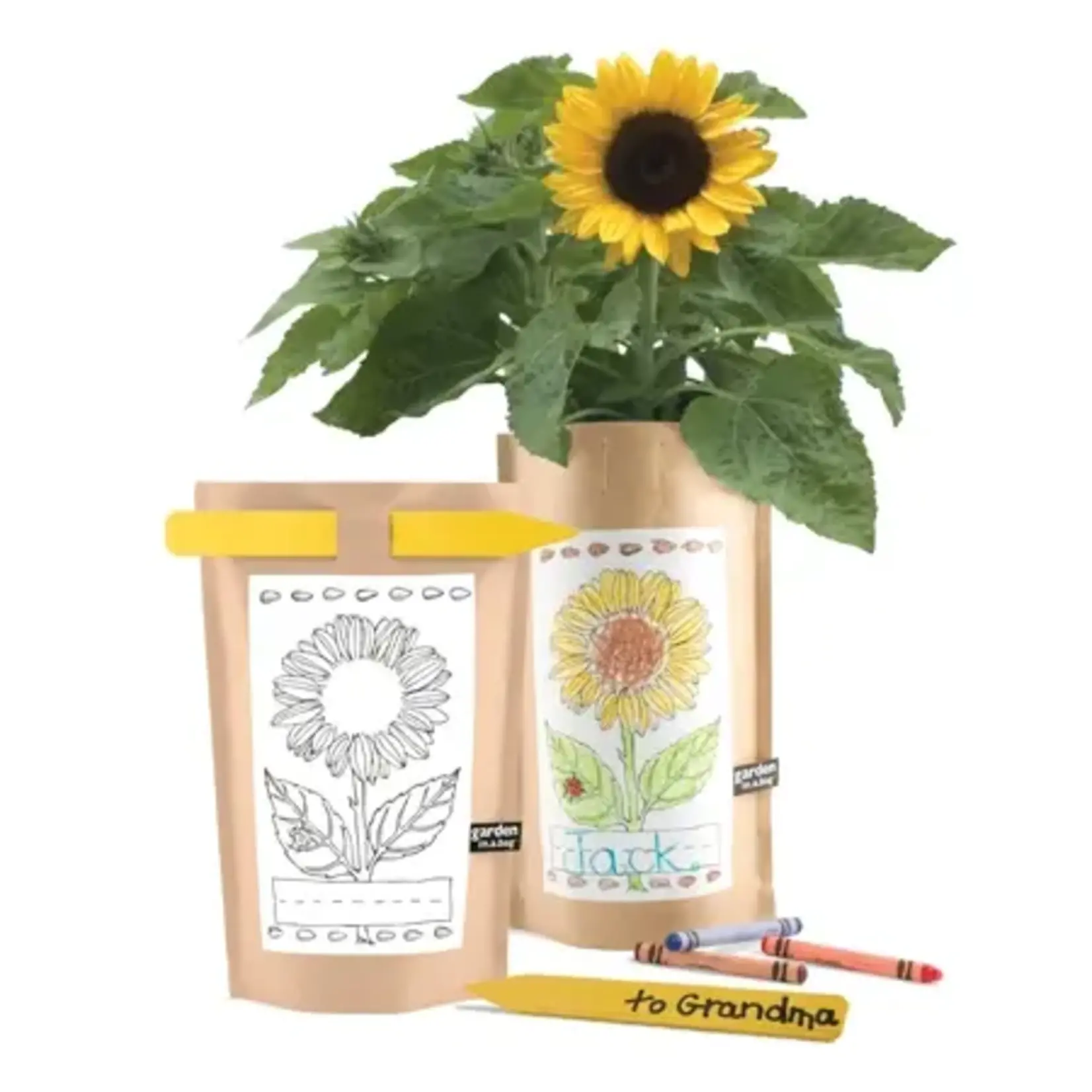 The Potter's Shed Kids Garden in A Bag | Sunflower | Fall Gift | Best Seller